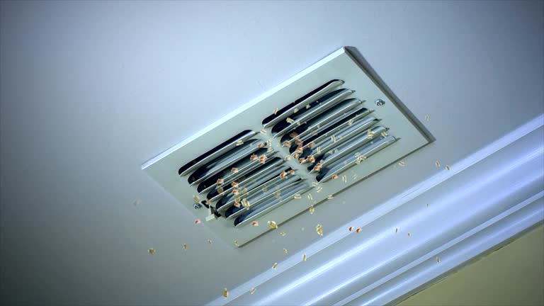 Best Ductwork Cleaning Services  in St Regis Park, KY